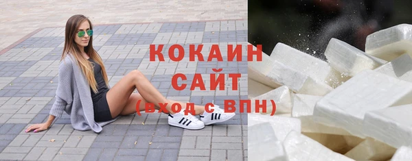 дживик Болотное