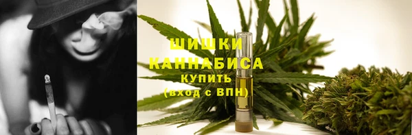 дживик Болотное