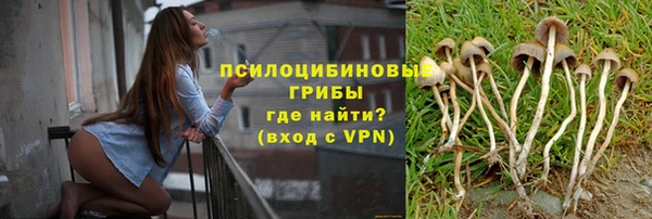 герыч Болхов