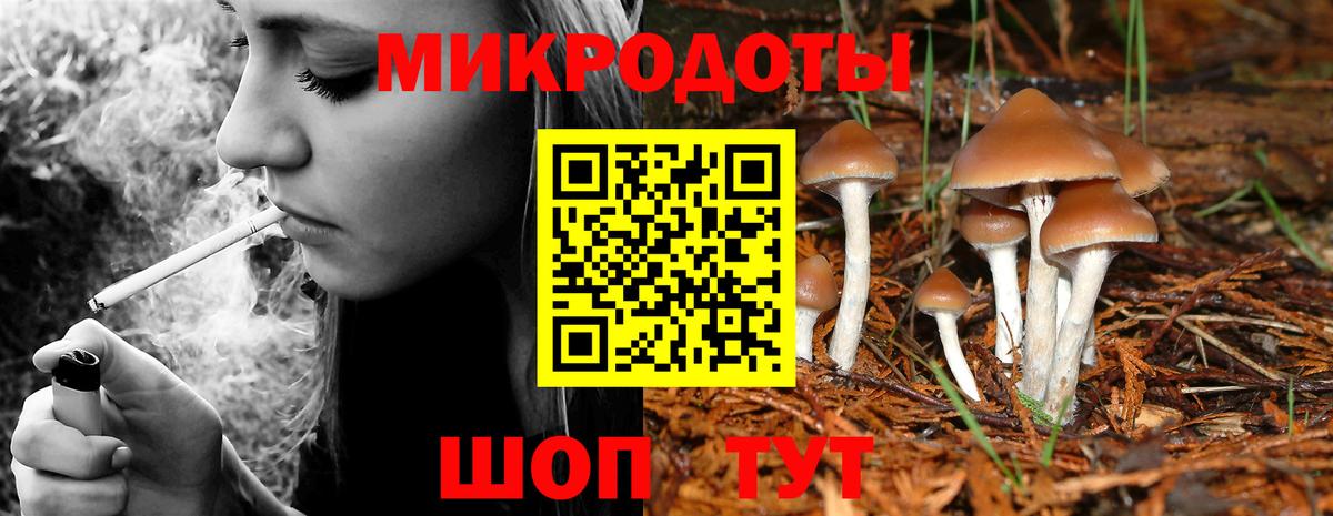 Галлюциногенные грибы Psilocybine cubensis Кондопога