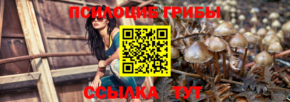 Псилоцибиновые грибы MAGIC MUSHROOMS  Вход с VPN  Псилоцибиновые грибы MAGIC MUSHROOMS  Кондопога 